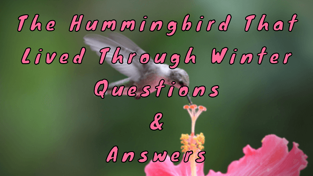 The Hummingbird That Lived Through Winter Questions & Answers