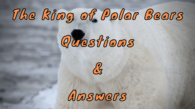 The King of Polar Bears Questions & Answers