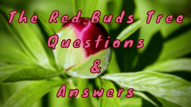 The Red Buds Tree Questions & Answers
