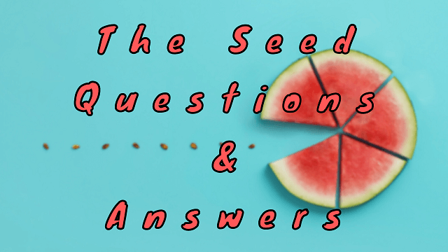 The Seed Questions & Answers
