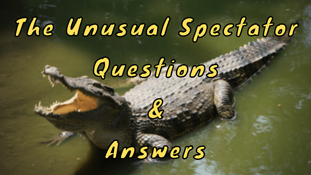 The Unusual Spectator Questions & Answers