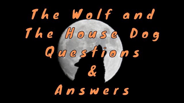 The Wolf and the House Dog Questions & Answers