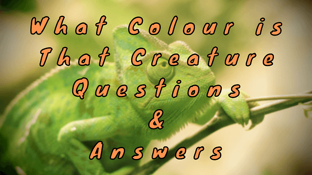 What Colour is That Creature Questions & Answers