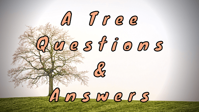 A Tree Questions & Answers