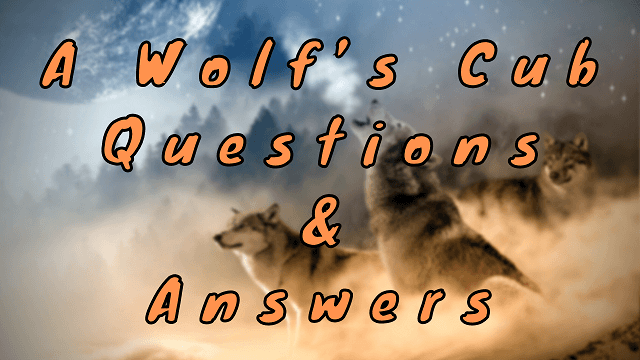 A Wolf’s Cub Questions & Answers