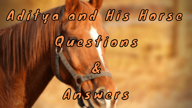 Aditya and His Horse Questions & Answers
