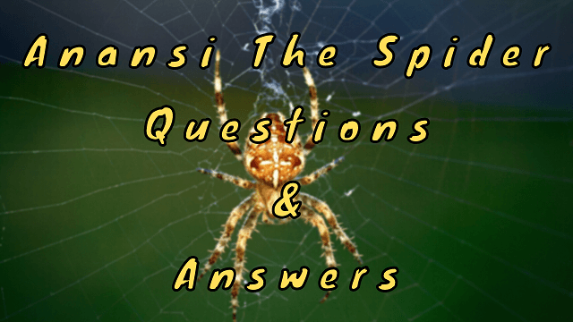 Anansi The Spider Questions & Answers