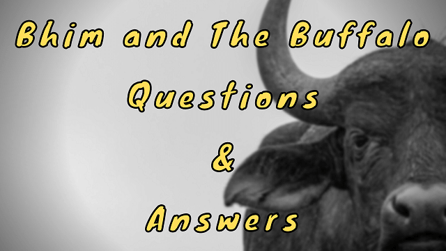 Bhim and The Buffalo Questions & Answers