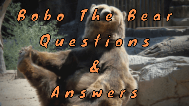 Bobo The Bear Questions & Answers