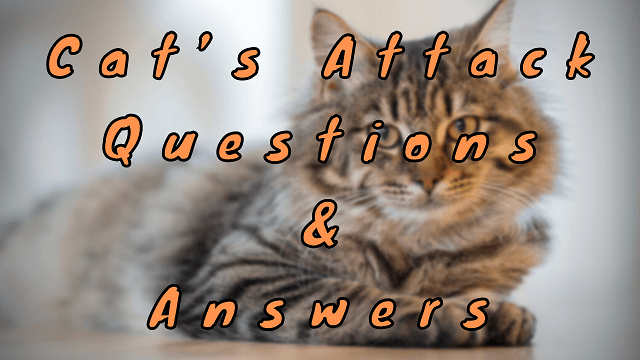 Cat’s Attack Questions & Answers
