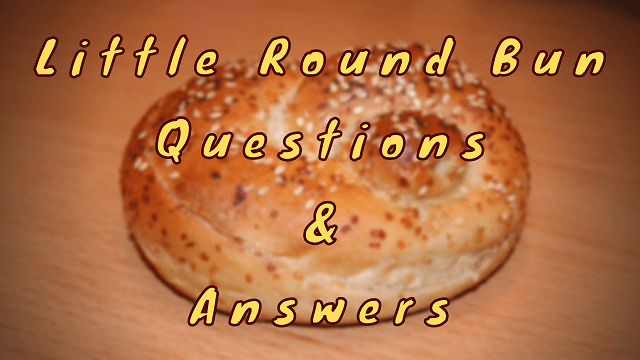 Little Round Bun Questions & Answers