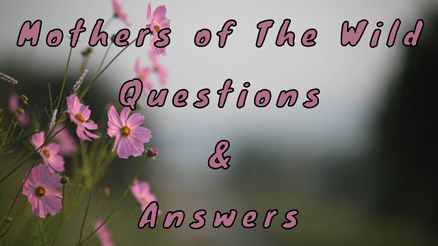 Mothers of The Wild Questions & Answers
