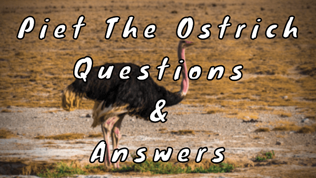 Piet The Ostrich Questions & Answers
