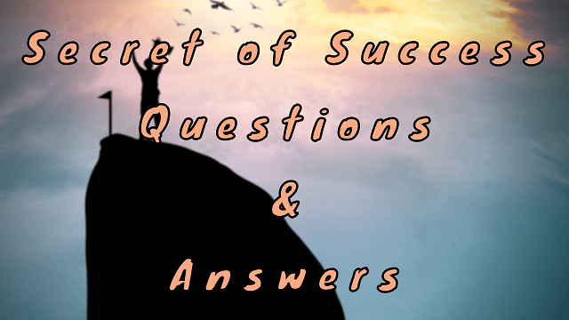 Secret of Success Questions & Answers