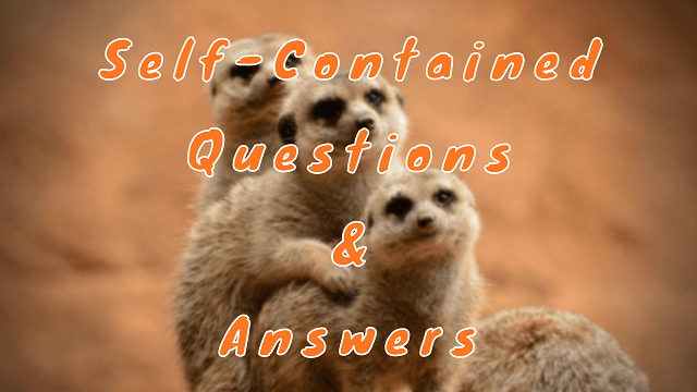 Self-Contained Questions & Answers