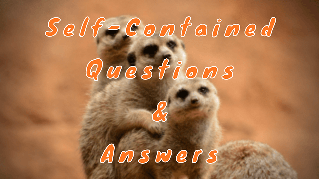 Self-Contained Questions & Answers - WittyChimp Self-Contained Questions & Answers - WittyChimp