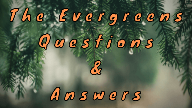 The Evergreens Questions & Answers