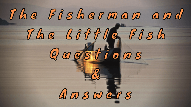 The Fisherman and The Little Fish Questions & Answers