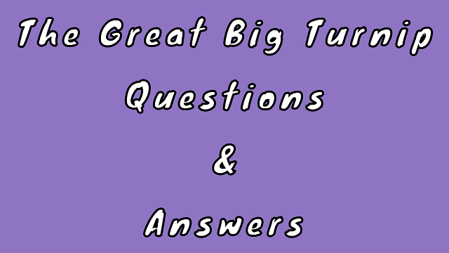 The Great Big Turnip Questions & Answers