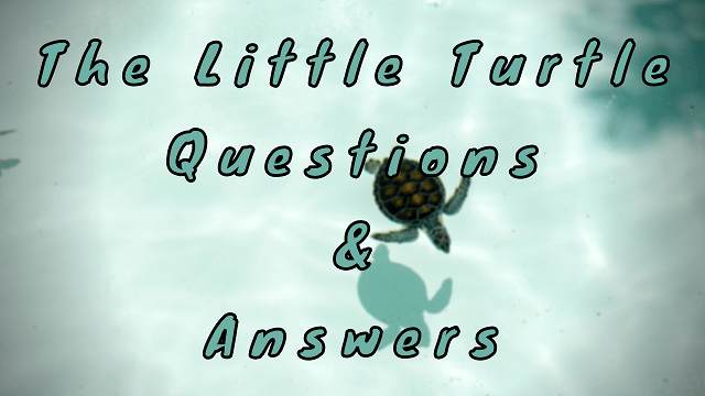 The Little Turtle Questions & Answers