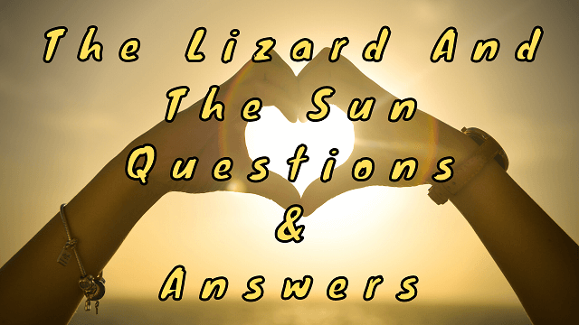The Lizard and The Sun Questions & Answers