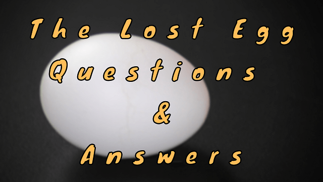The Lost Egg Questions & Answers