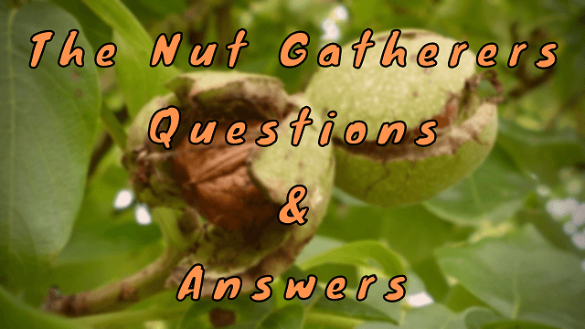 The Nut Gatherers Questions & Answers