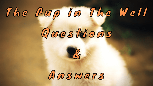 The Pup in The Well Questions & Answers