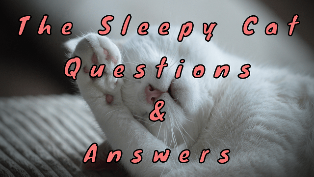 The Sleepy Cat Questions & Answers