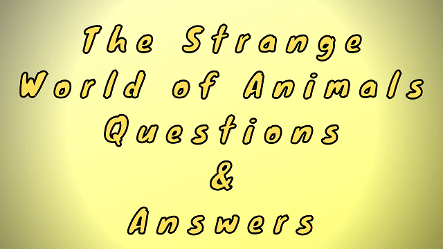 The Strange World of Animals Questions & Answers