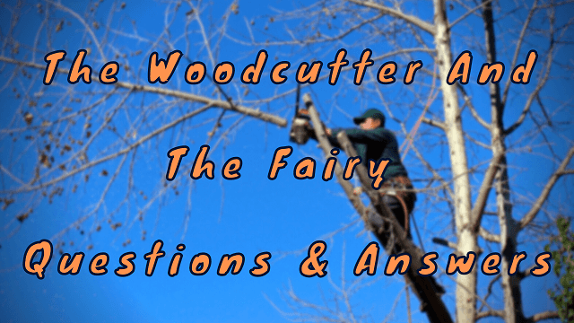 The Woodcutter and The Fairy Questions & Answers