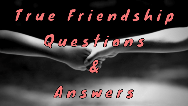 True Friendship Questions & Answers