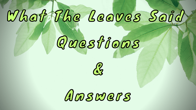 What The Leaves Said Questions & Answers