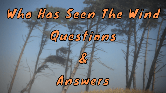 Who Has Seen The Wind Questions & Answers