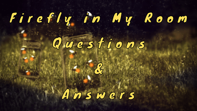 Firefly in My Room Questions & Answers