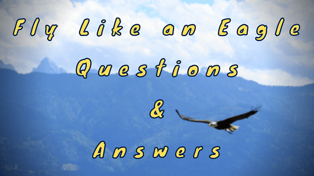 Fly Like an Eagle Questions & Answers