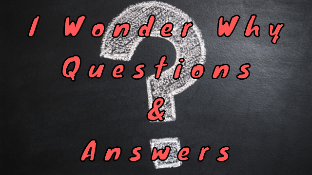 I Wonder Why Questions & Answers