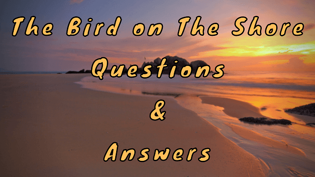 The Bird on The Shore Questions & Answers