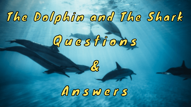 The Dolphin and The Shark Questions & Answers