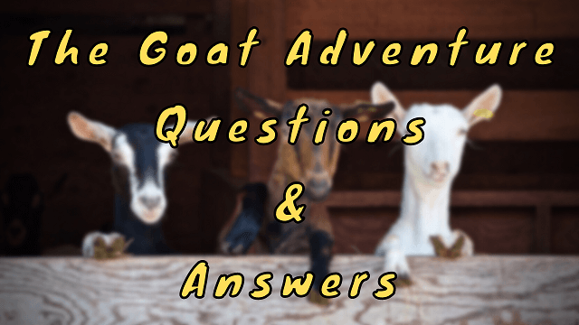 The Goat Adventure Questions & Answers