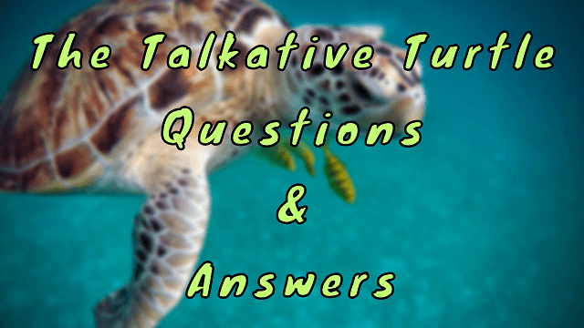 The Talkative Turtle Questions & Answers