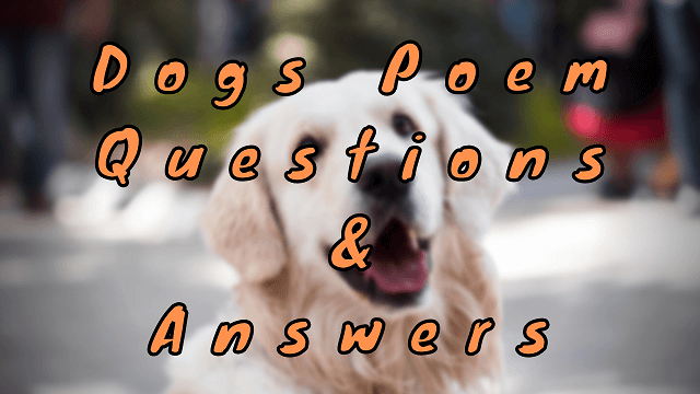 Dogs Poem Questions & Answers