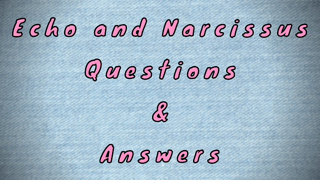 Echo and Narcissus Questions & Answers