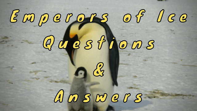 Emperors of Ice Questions & Answers