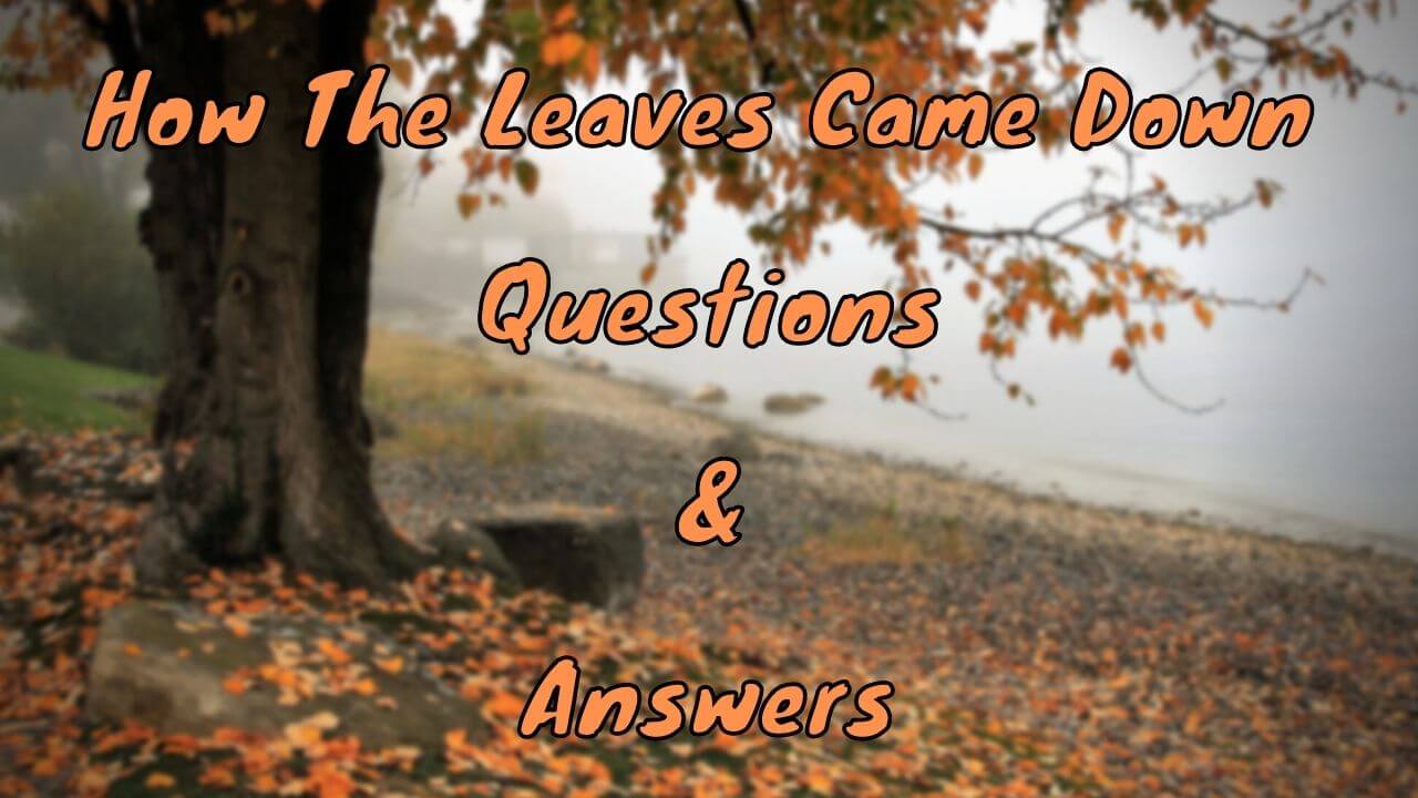 How the Leaves Came Down Questions & Answers