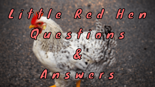 Little Red Hen Questions & Answers