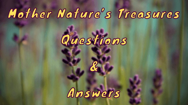 Mother Nature’s Treasures Questions & Answers