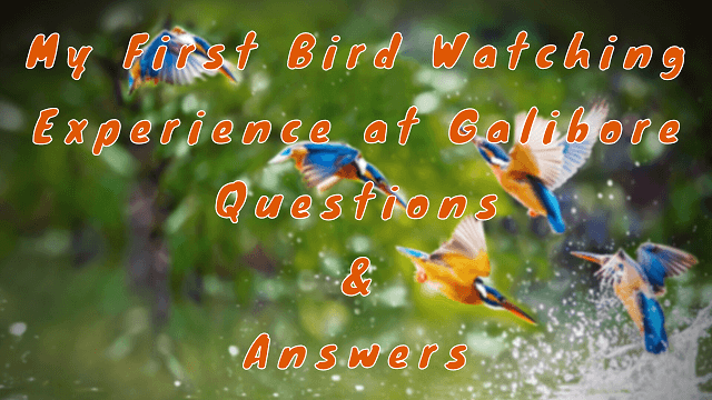 My First Bird Watching Experience at Galibore Questions & Answers