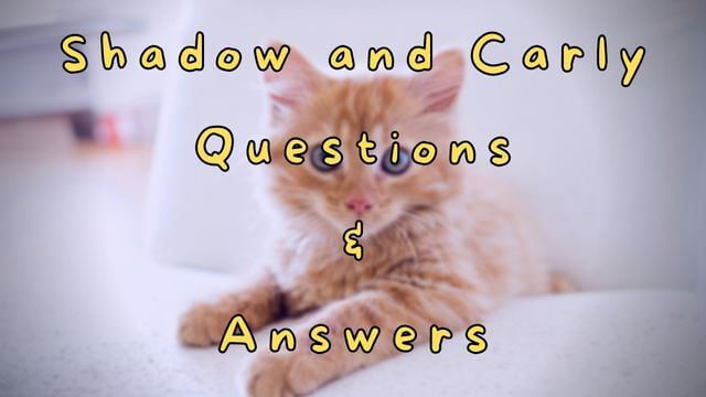 Shadow and Carly Questions & Answers