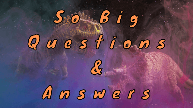 So Big Questions & Answers